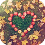 Logo of Apple Heart Theme android Application 